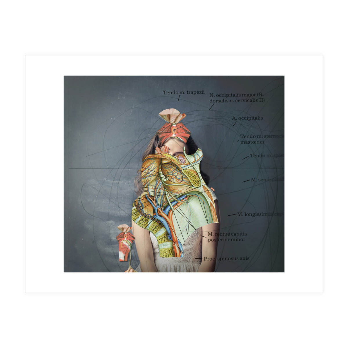 Crazy Woman 204 (Print Only)