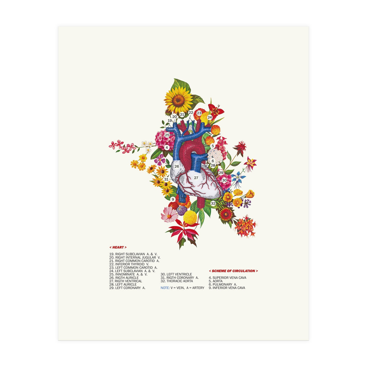 Blooming Heart (Print Only)