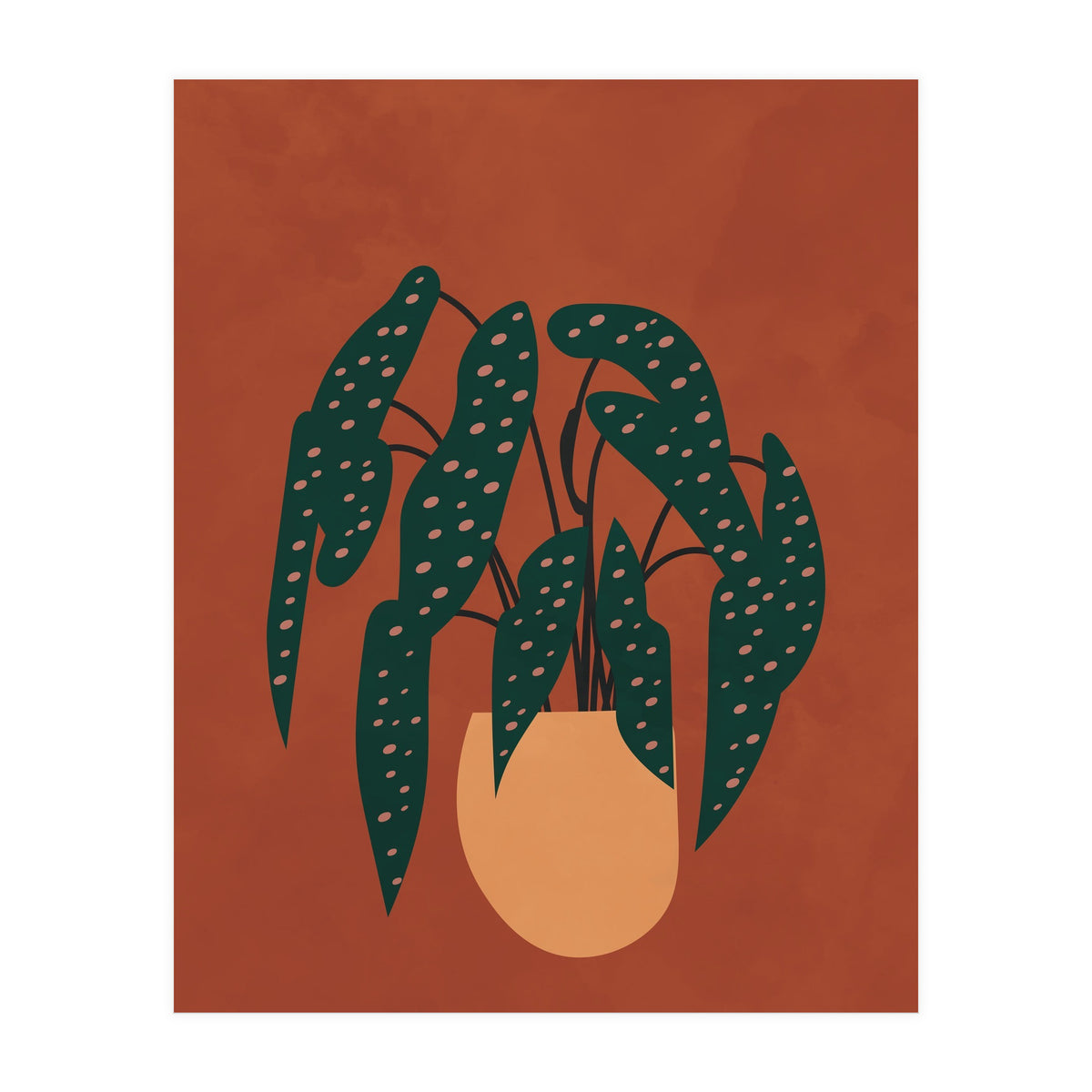 Boho Terracotta Begonia (Print Only)