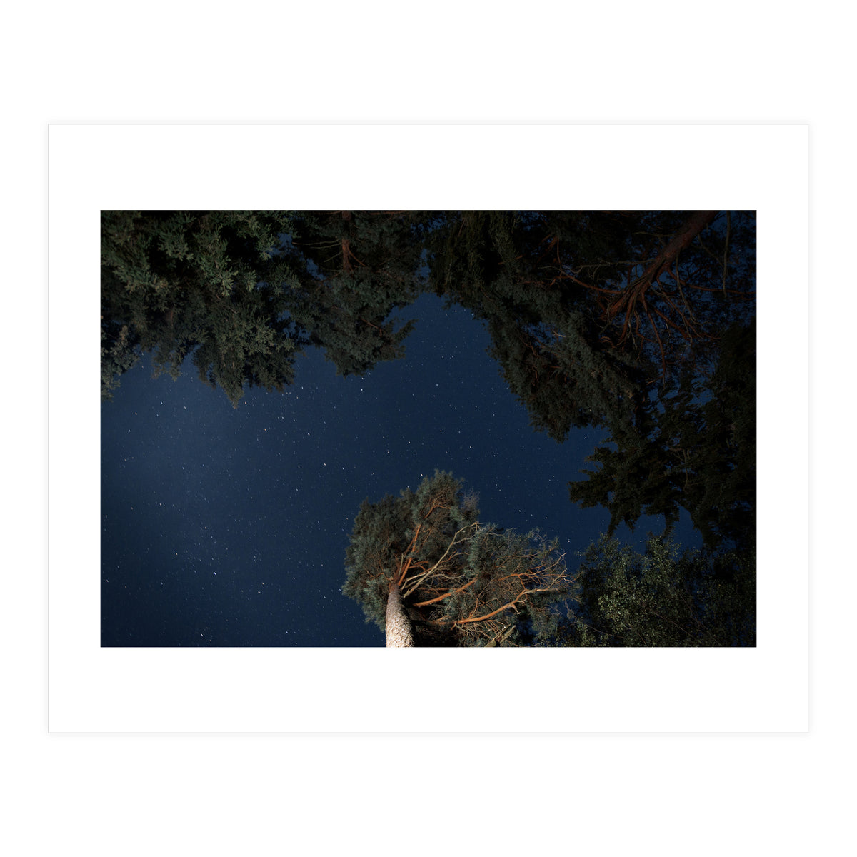 Sputnik Turntables (Print Only)