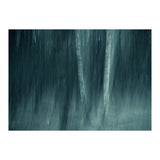 spell (Print Only) thumbnail