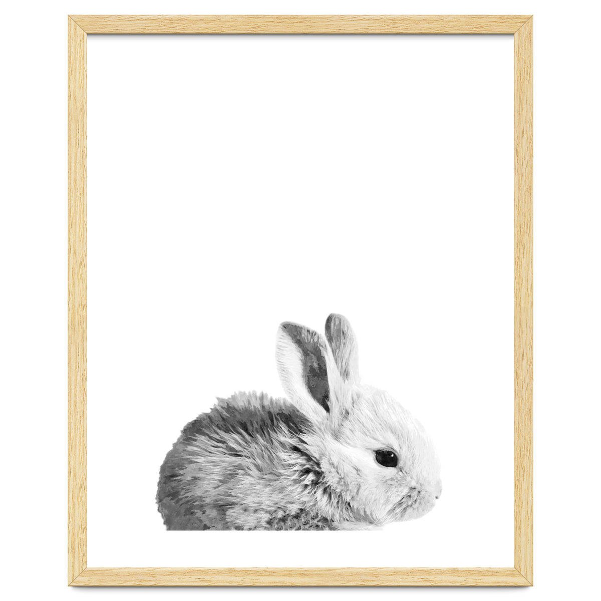 Black and White Bunny Portrait