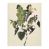 The First Plant · E3 (Print Only) thumbnail