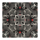 Calaabachti Matrix (Print Only) thumbnail