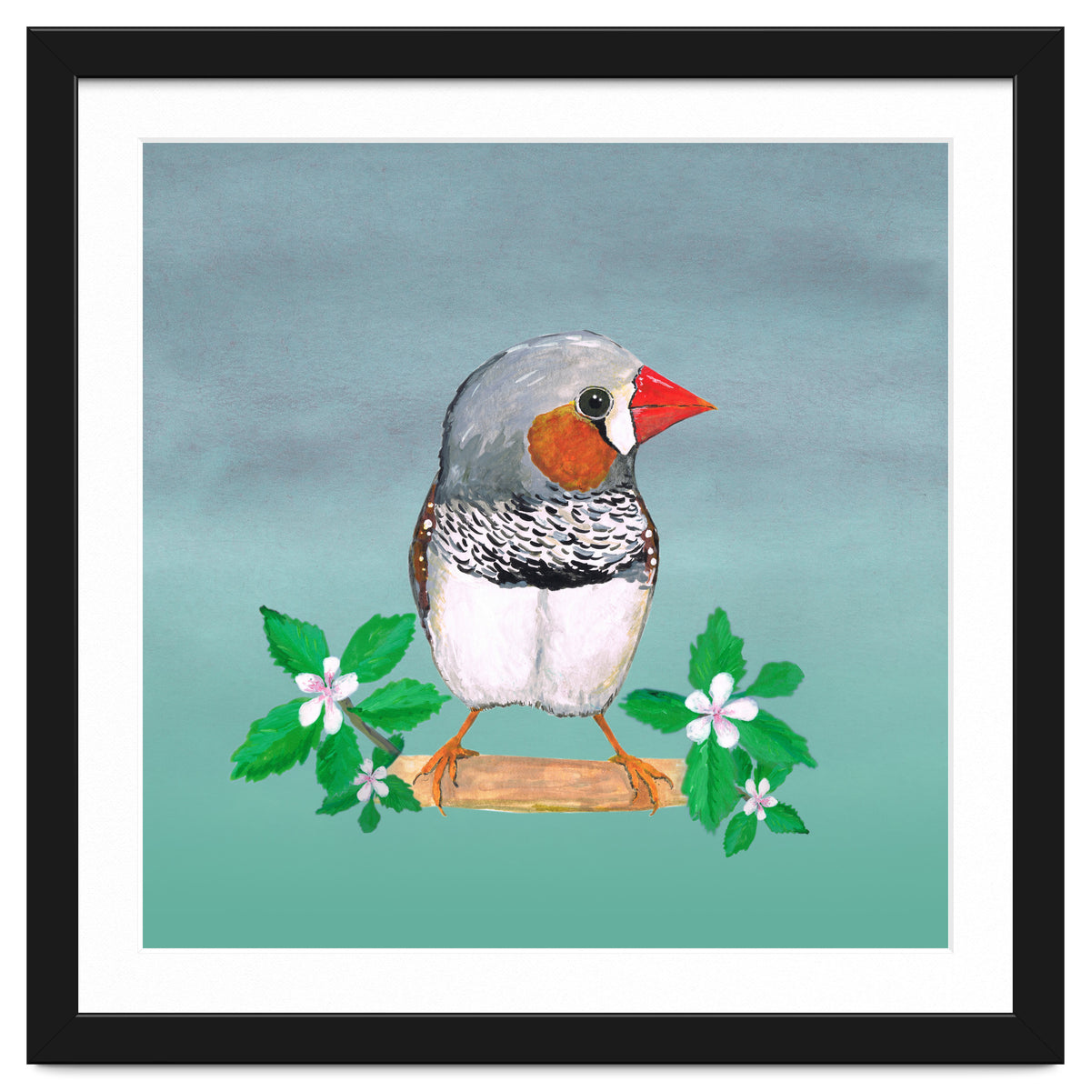Zebra finch