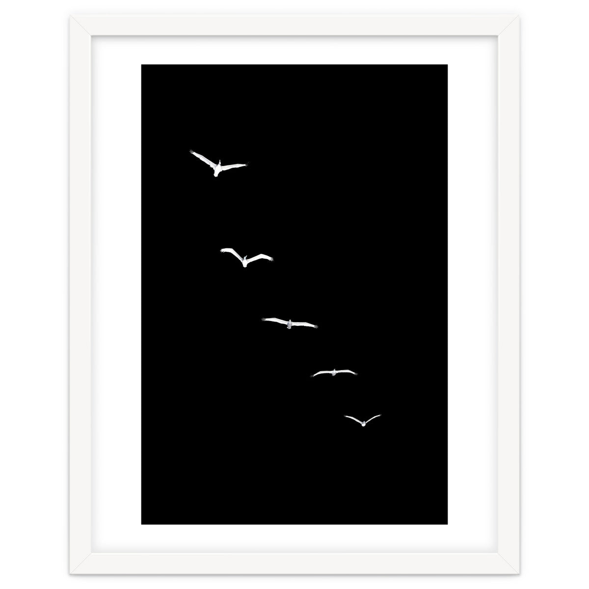 Heavenly Creatures Dark