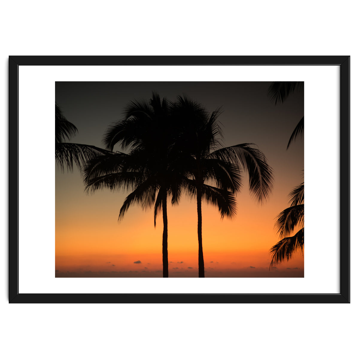 Mexico, November nights