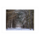 Dog Walkers in the Snow.  Heath Warren - Hampshire (Print Only) thumbnail
