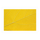 Autumn Leaf (Print Only) thumbnail