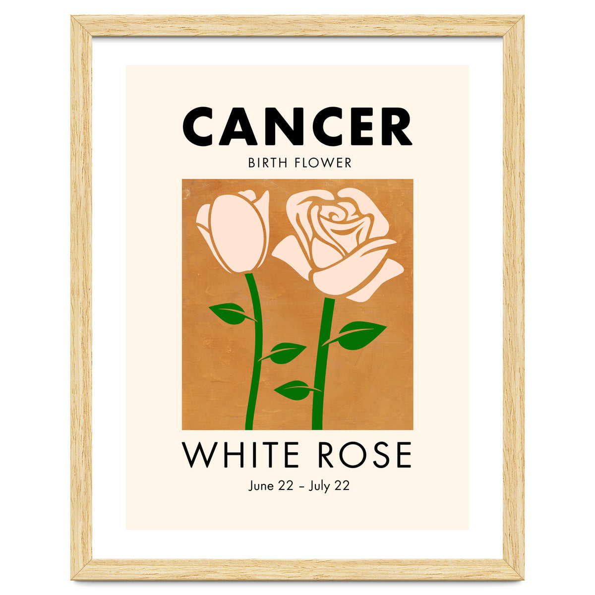 Cancer Birth Flower White Rose