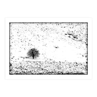 Somewhere There Is A Field, White And Quiet, Where A Tree Like This One Stands (Print Only)