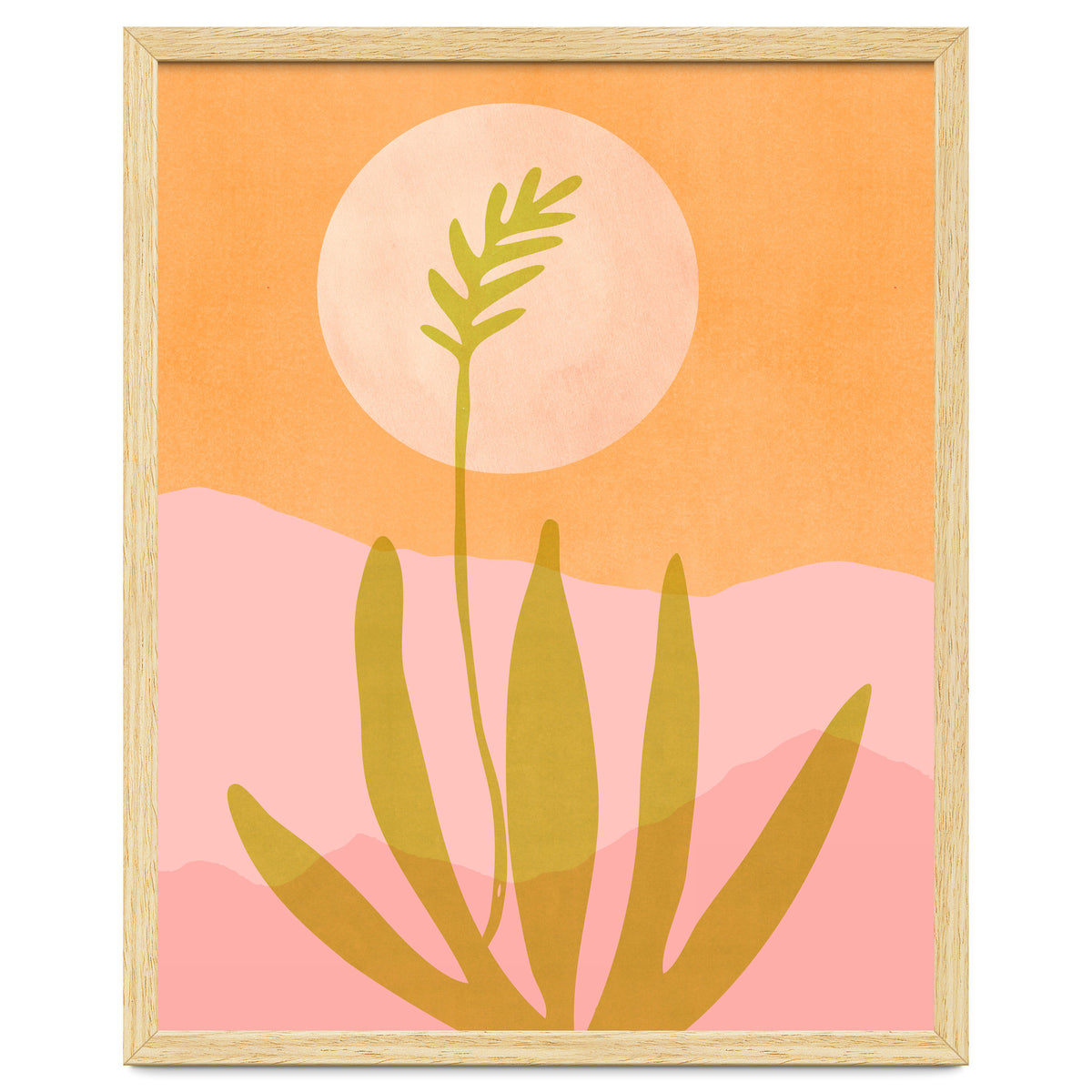 Desert Moon With Agave