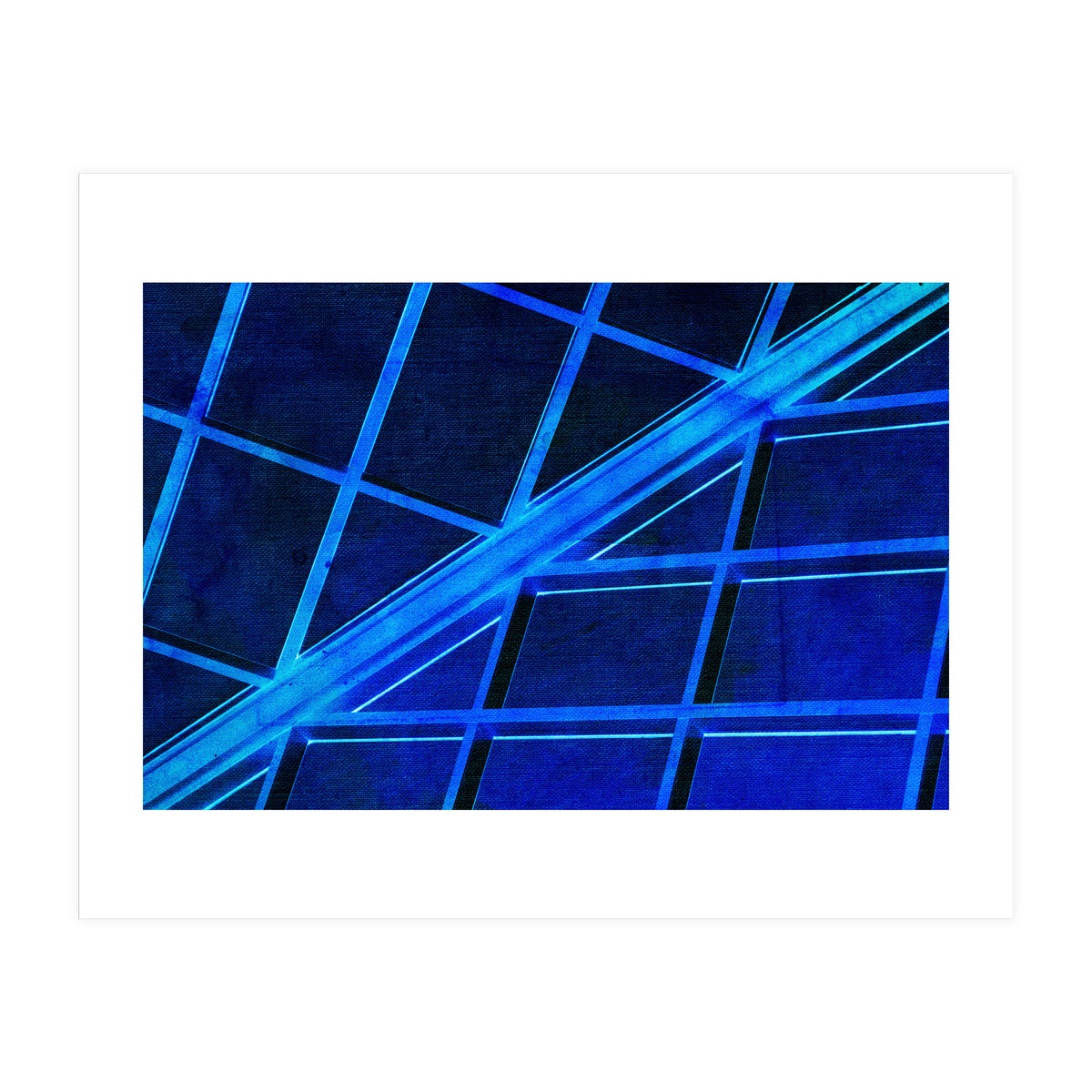 WTnight  (Print Only)