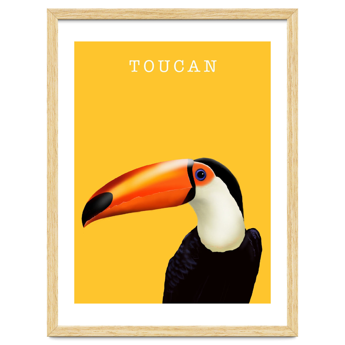 Toucan