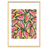 Caladium, Botanical Tropical Nature Plants, Vintage Bohemian Exotic Blush Leaves thumbnail