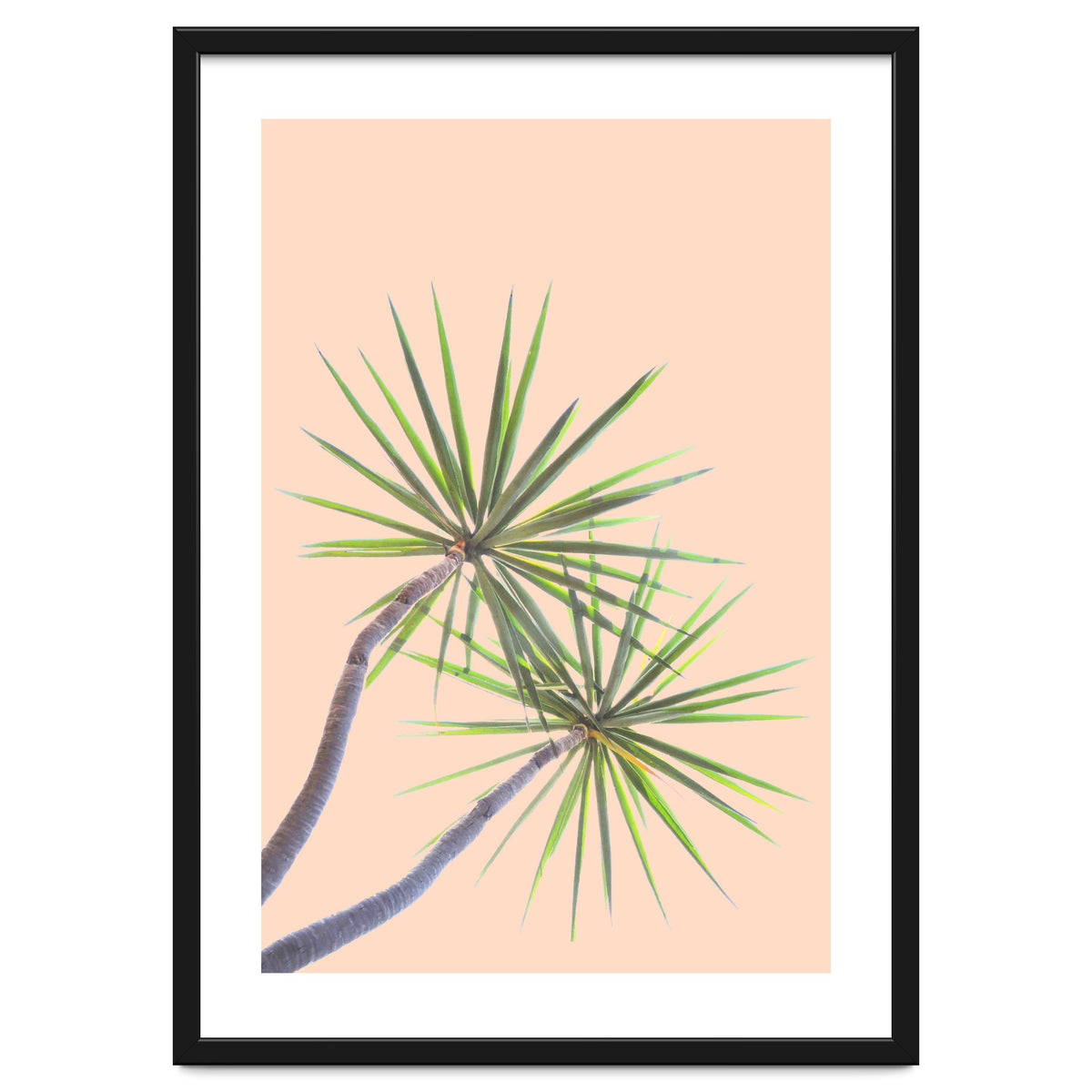 Tropical Serenity | Botanical Nature Plants | Boho Jungle Floral Garden | Watercolor Palm Painting
