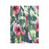 Wild Hibiscus (Print Only) thumbnail
