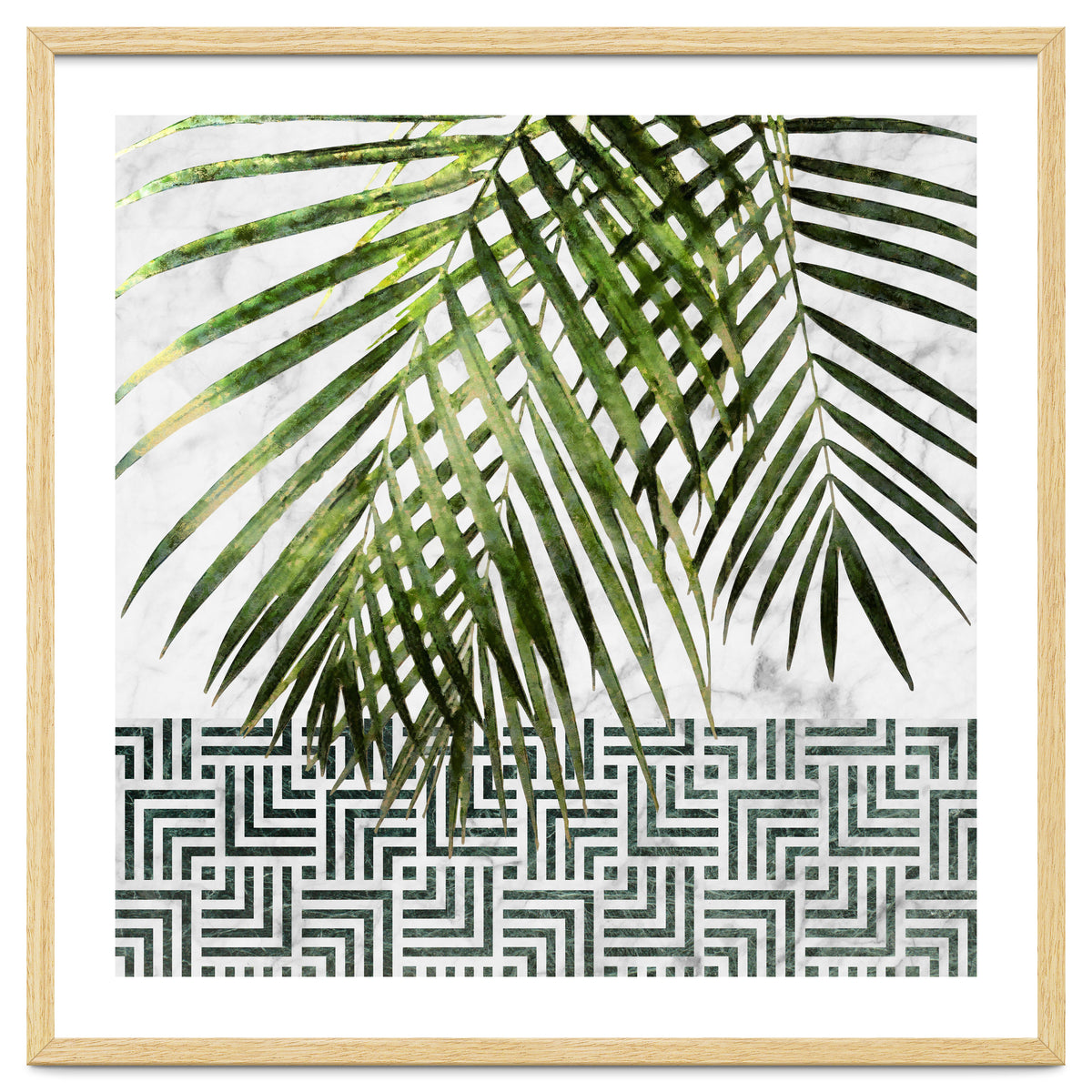 Palm Leaves On White Marble And Tiles