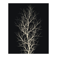 The Tree White (Print Only)
