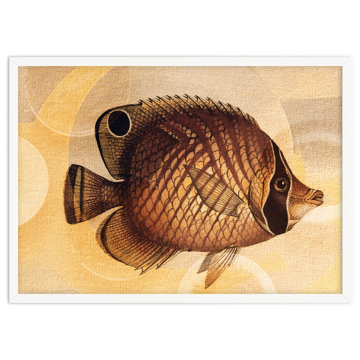 Fish Between Circles 3