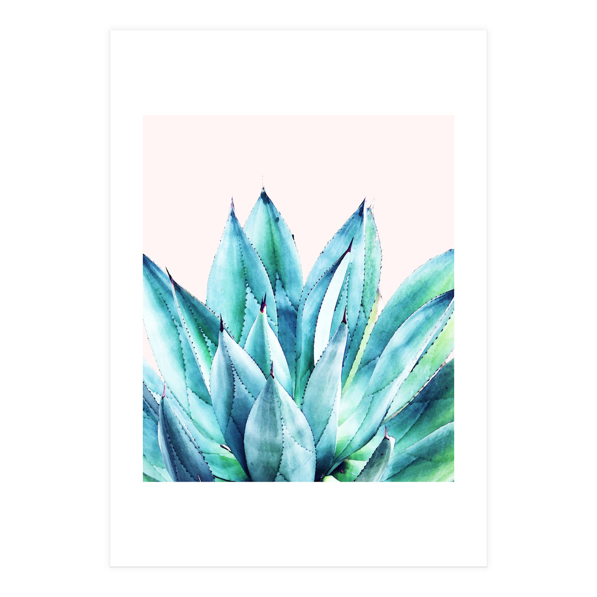 Agave Vibe (Print Only)