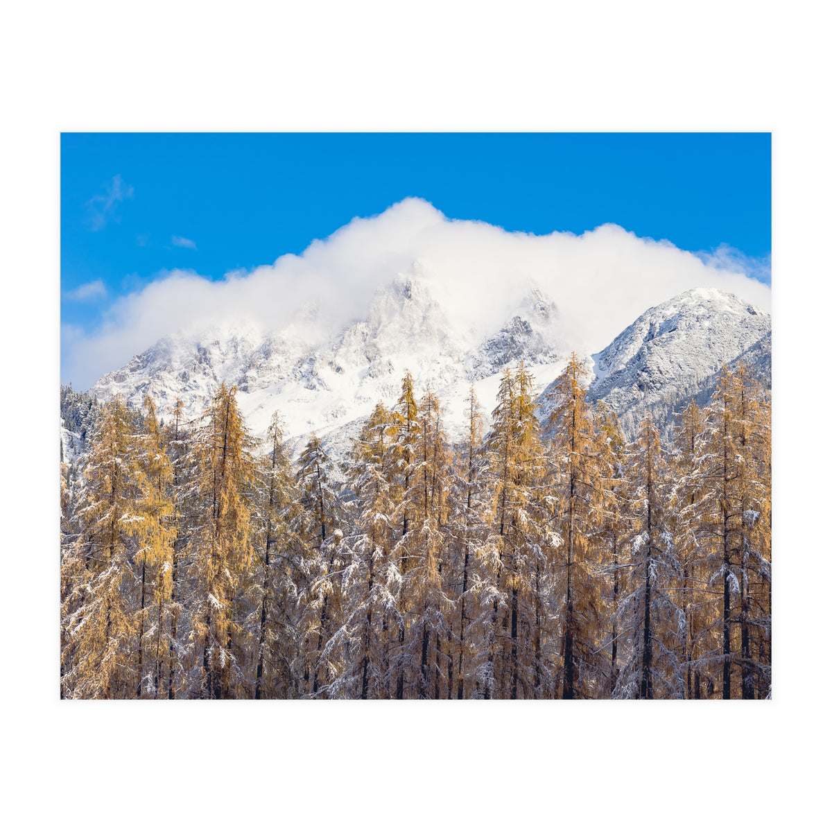 Cloudy Crown (Print Only)