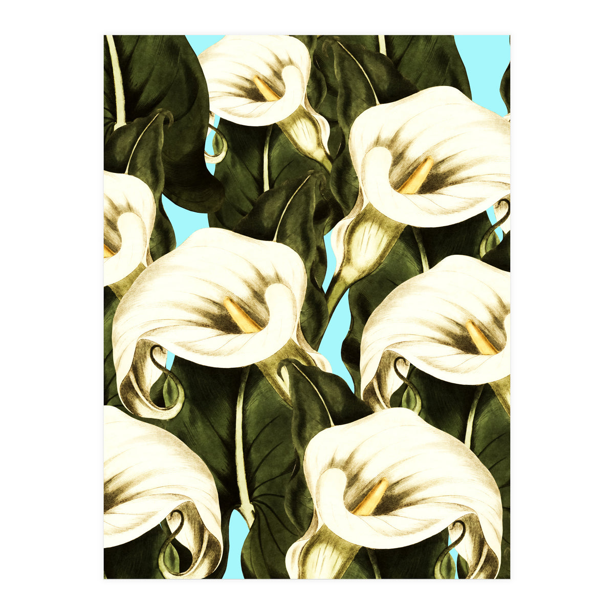 Pattern floral Ethiopian-Calla (Print Only)