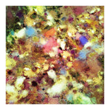 Discarded Blooms (Print Only) thumbnail