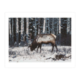 animal print (Print Only) thumbnail