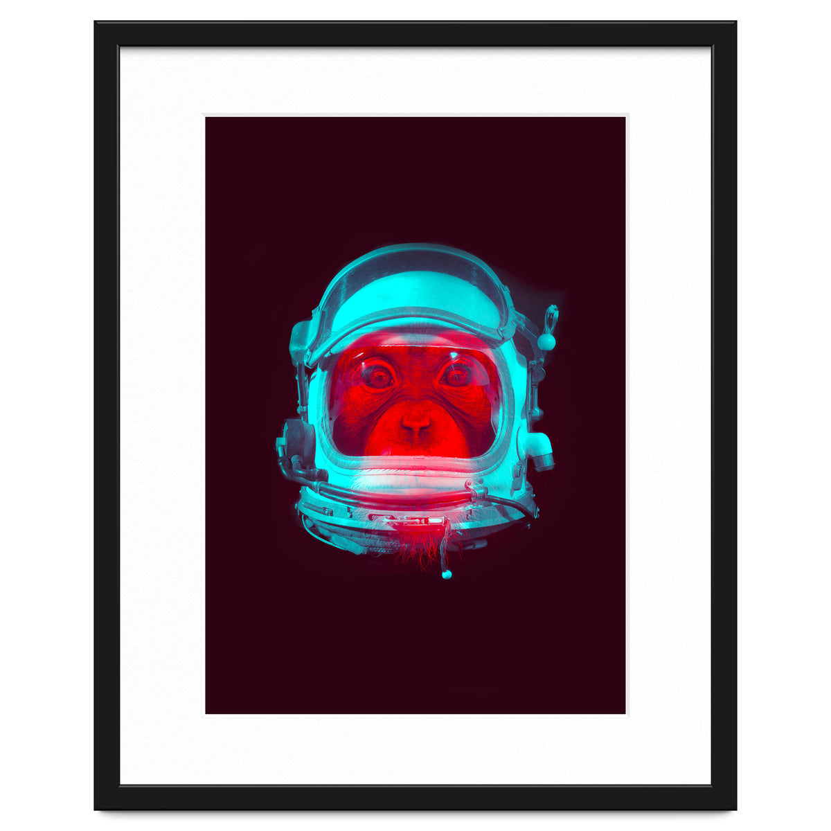 Astronaut