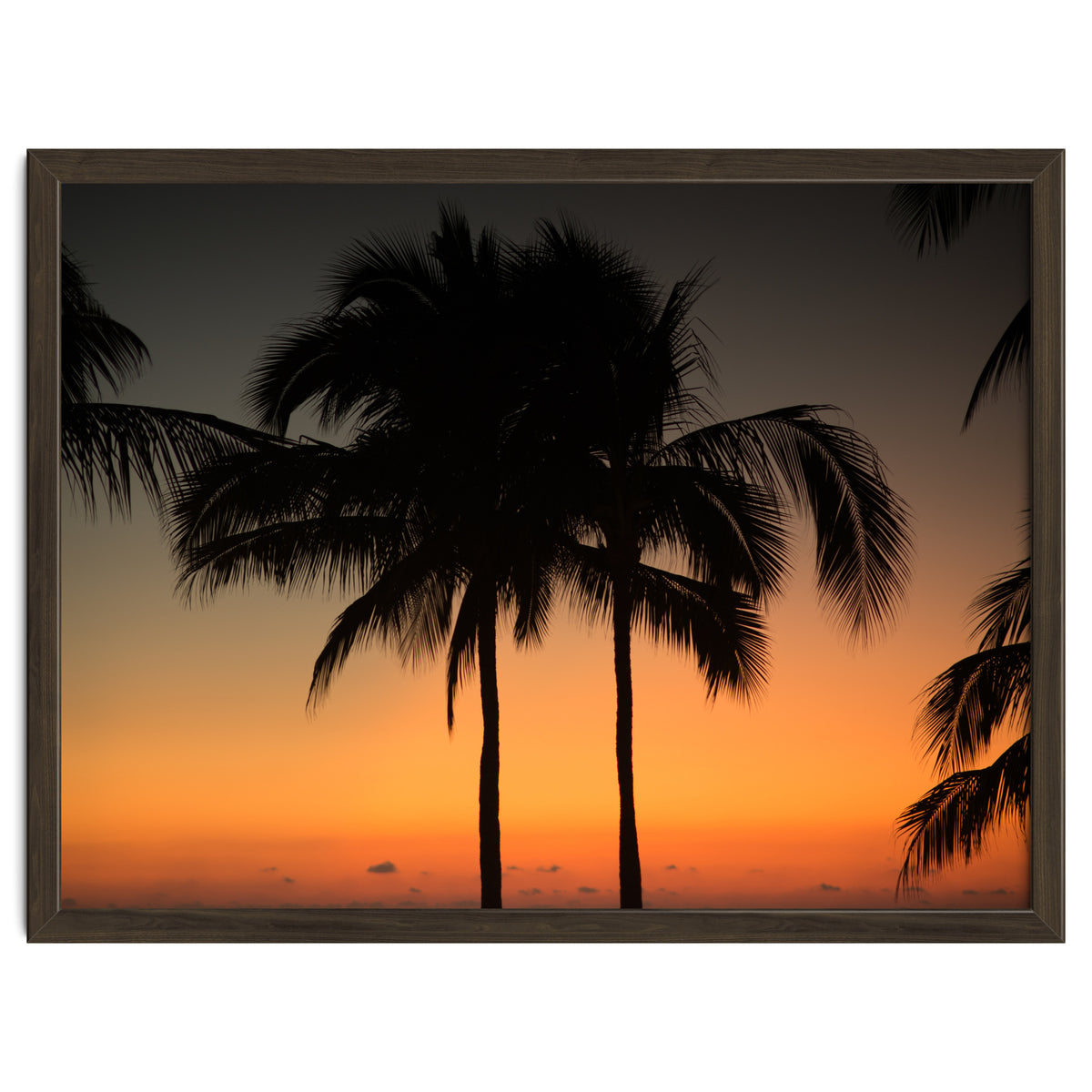 Mexico, November nights