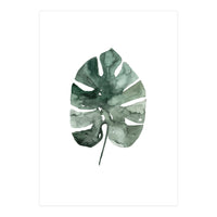 Botanical Illustration Monstera Leaf (Print Only)