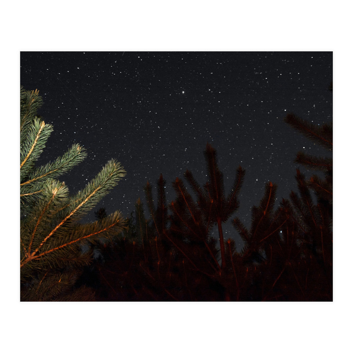 Sputnik Turntables (Print Only)