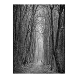 Forest path (Print Only) thumbnail