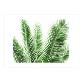 Palm Leaves (Print Only) thumbnail