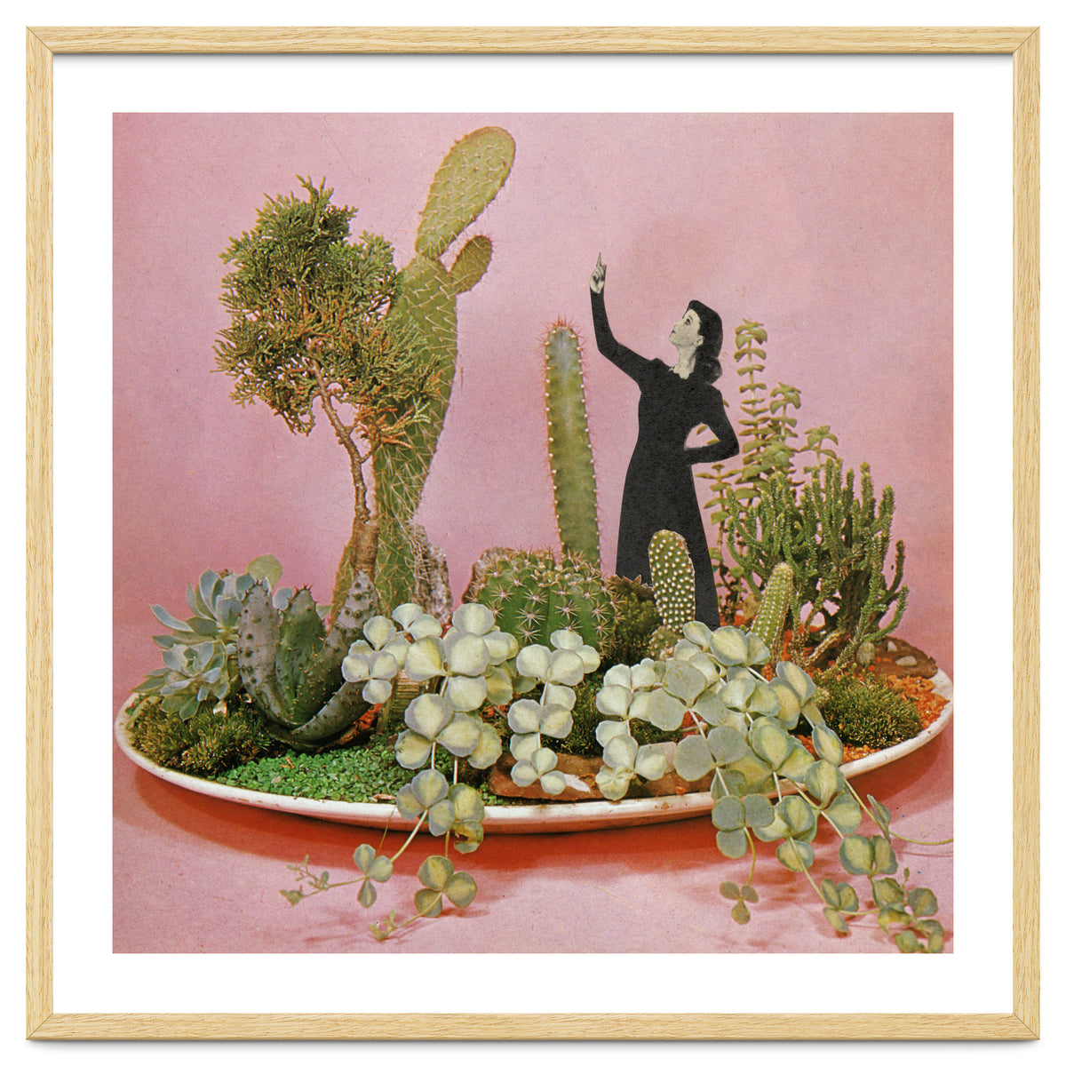 The Wonders Of Cactus Island