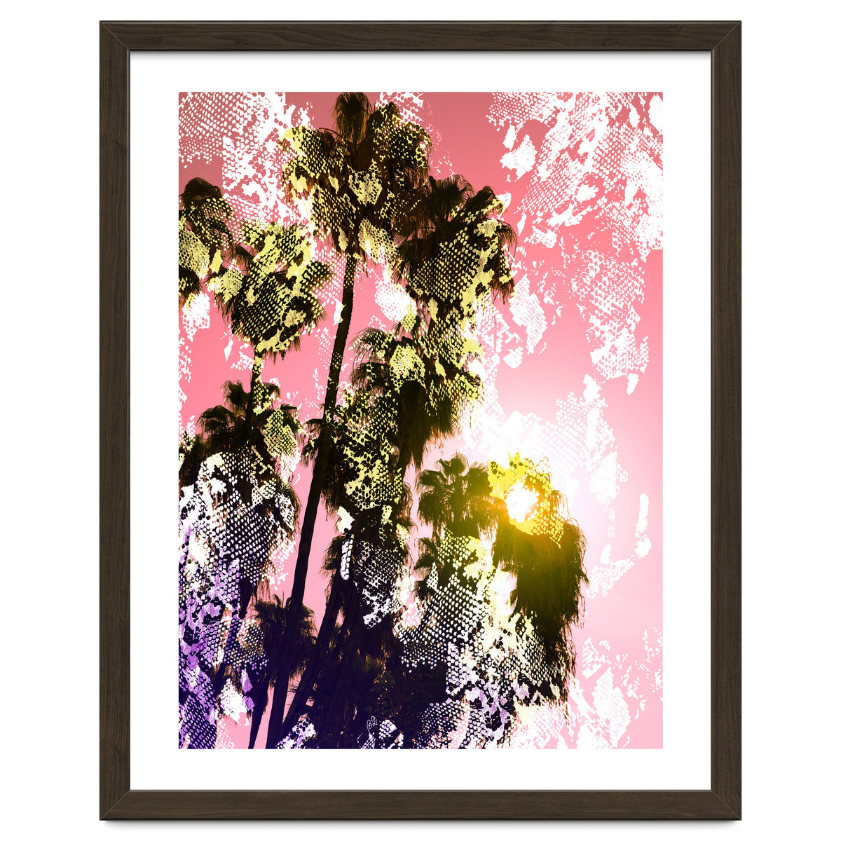 Snake sunset in paradise