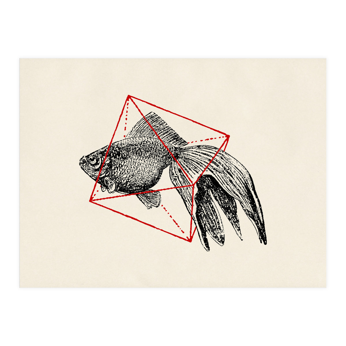 Fish In Geometrics III (Print Only)