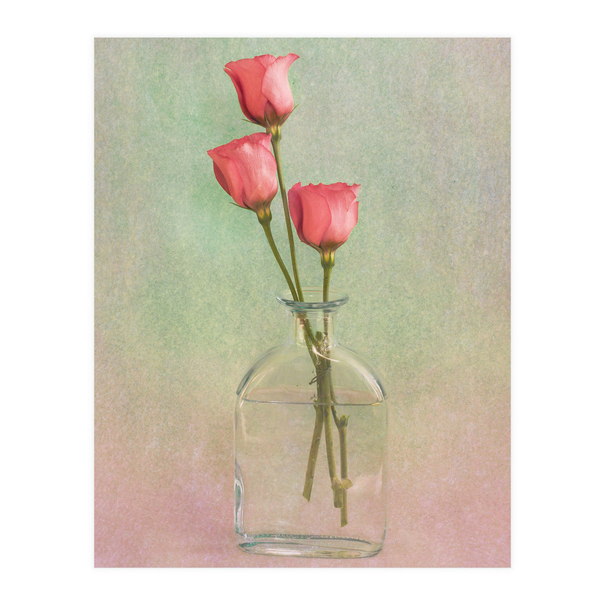 Three In A Flask (Print Only)