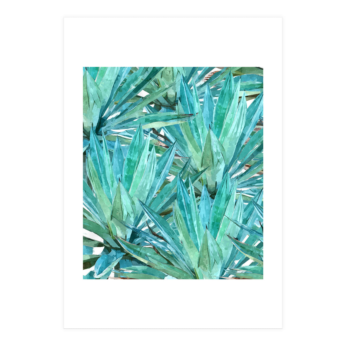Agave  (Print Only)