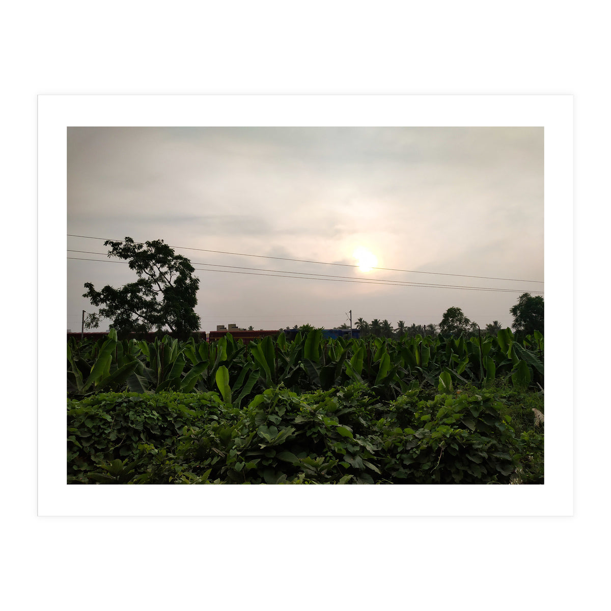 Never Ending Journey (Print Only)