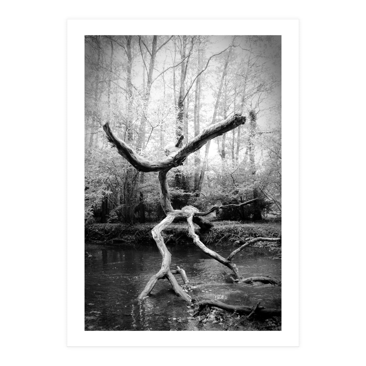 the negotiator (Print Only)