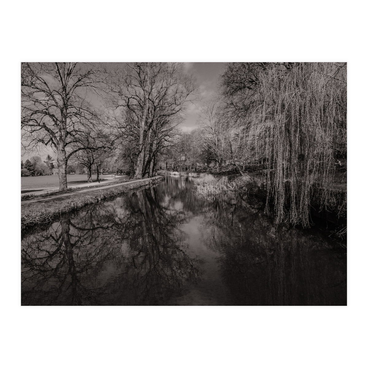 Bute Park, Cardiff  (Print Only)