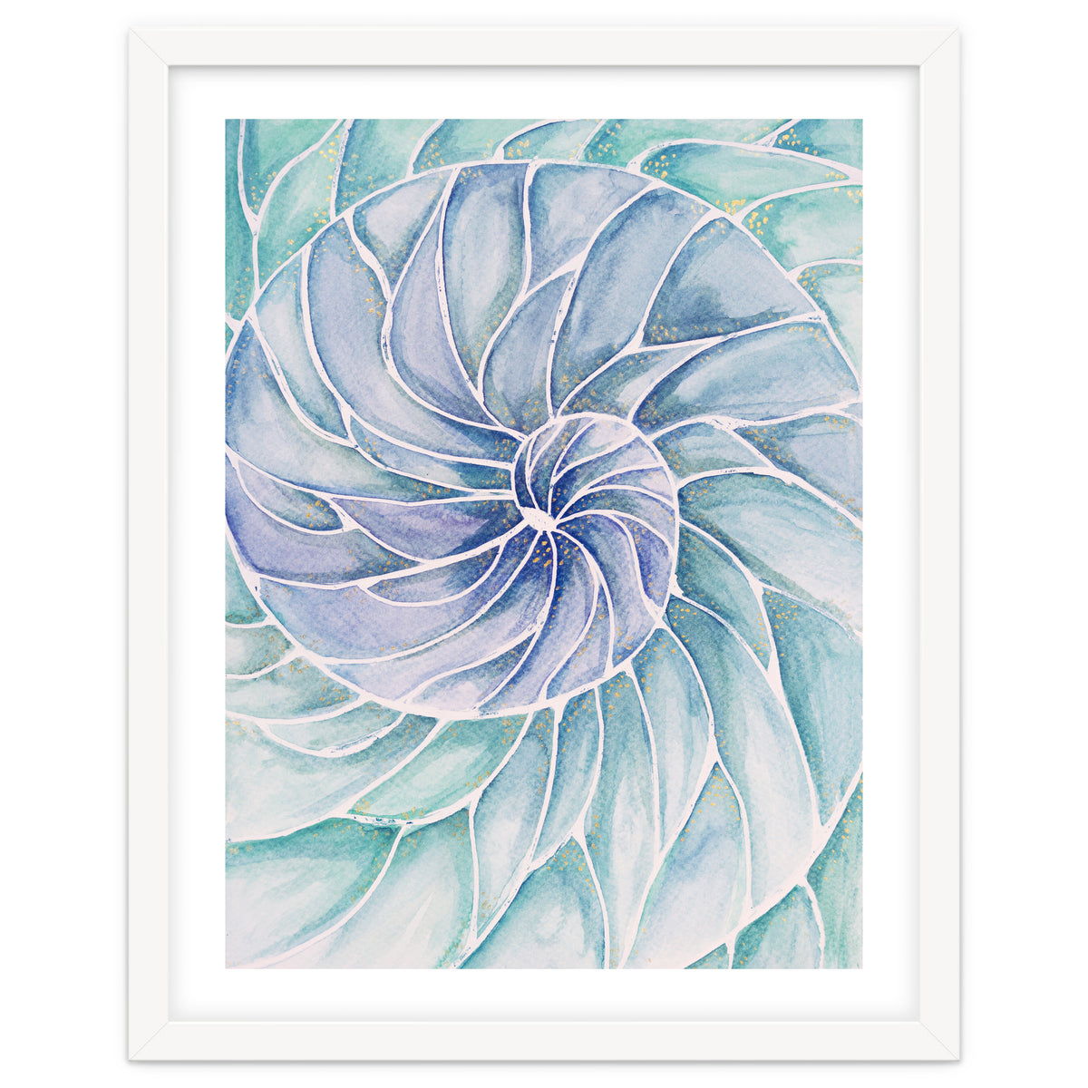 The inside of a shell