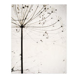 Herbstblume (Print Only) thumbnail