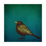 Camouflage: The Blackbird (Print Only) thumbnail