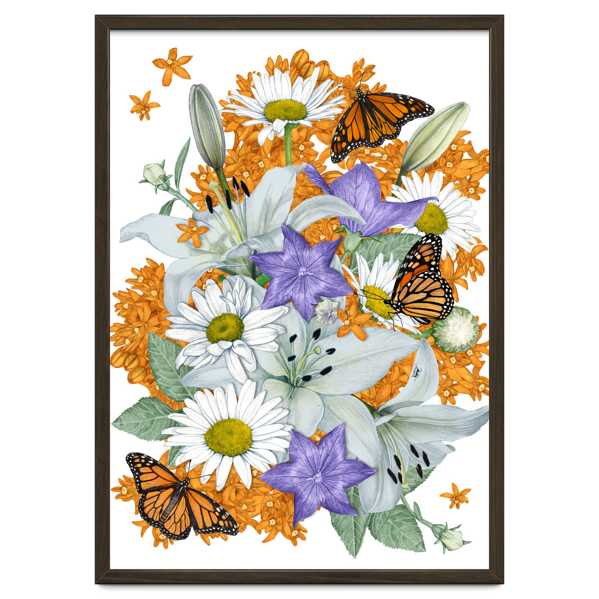 Lillies and Monarchs