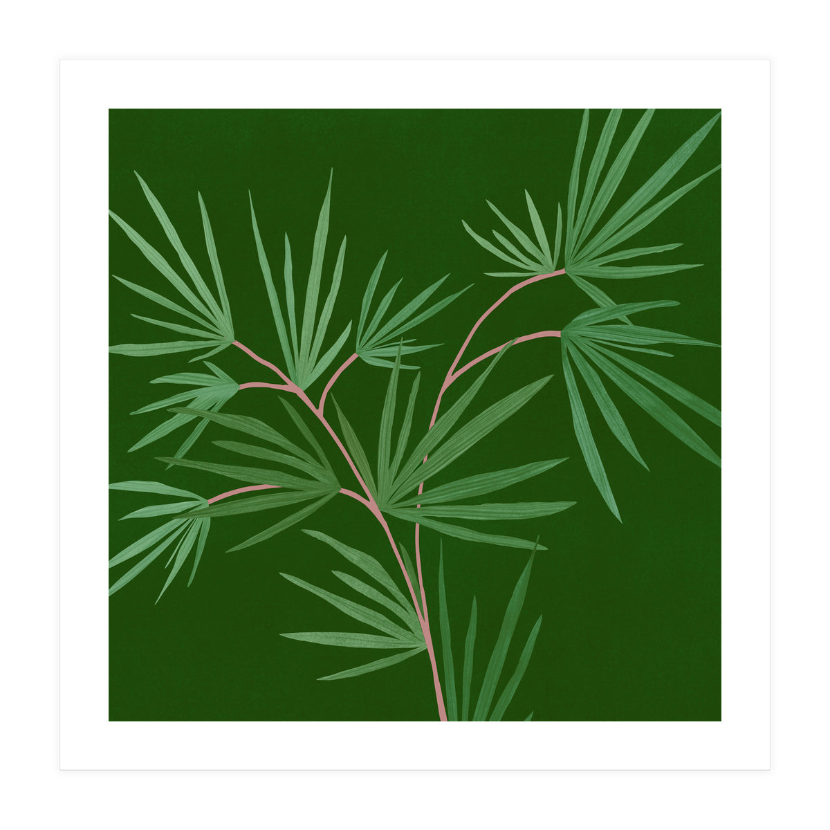 Abstract Palm (Print Only)