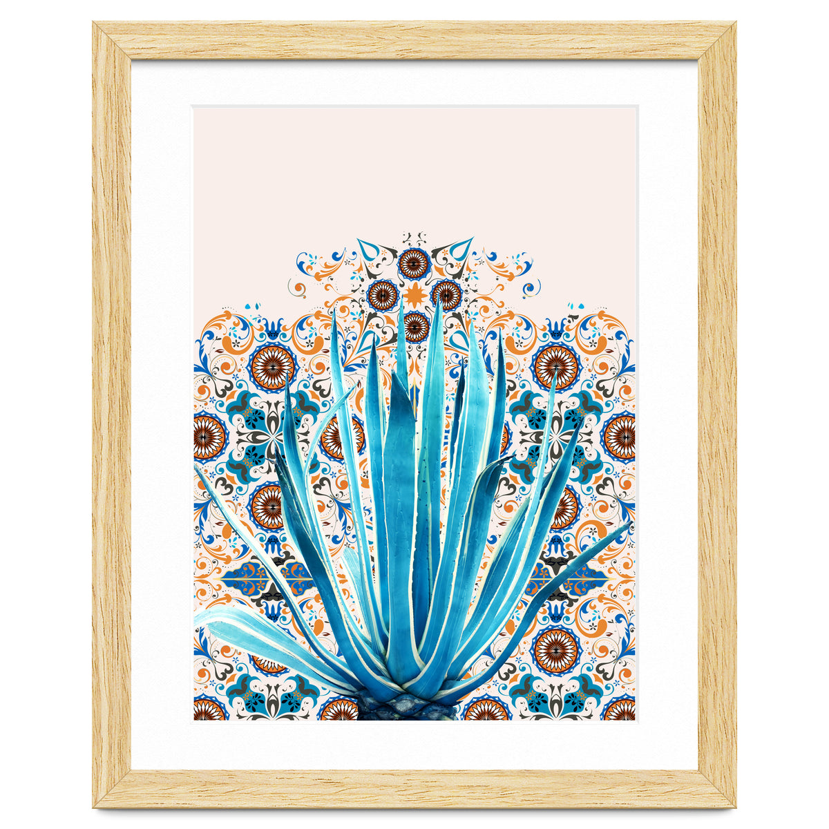 Cactus and Moroccan tiles