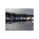 Fleet (Print Only) thumbnail